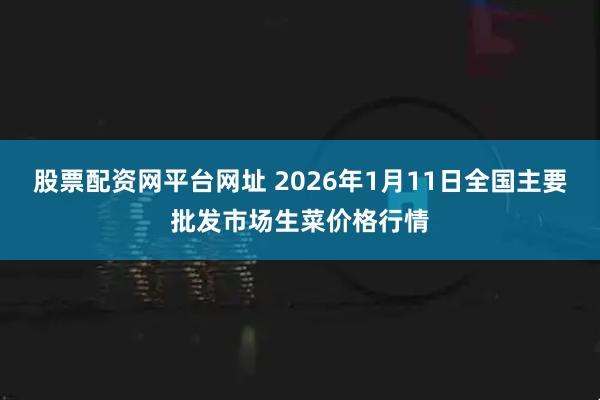 股票配资网平台网址 2026年1月11日全国主要批发市场生菜价格行情